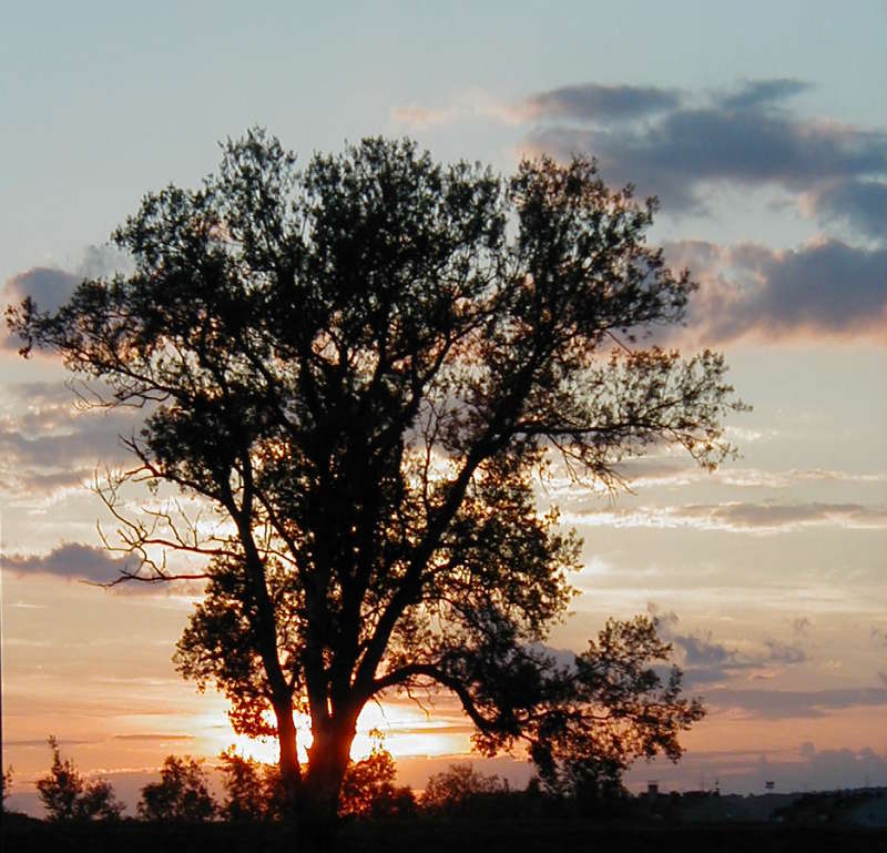 Slavonski Brod - zalazak sunca